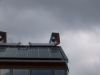 wind cowl 2.jpg